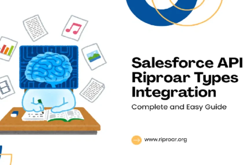 salesforce api riproar types integration